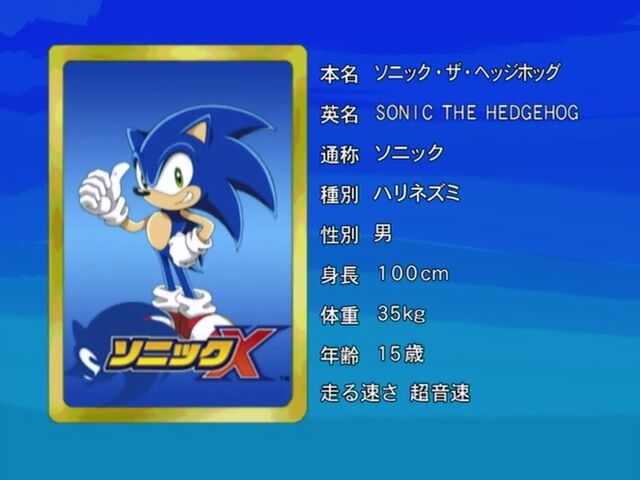 Sonic X, Sonic Wiki Zone