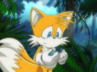 Tails062