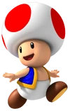 Toad MP8