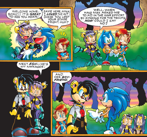 Amy & Shadow: The Slap!, Archie Sonic Comics