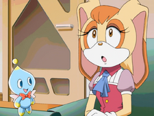 Vanilla the Rabbit (Sonic X)