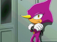 Sonic X