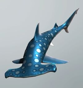 FP polkadothammerheadshark