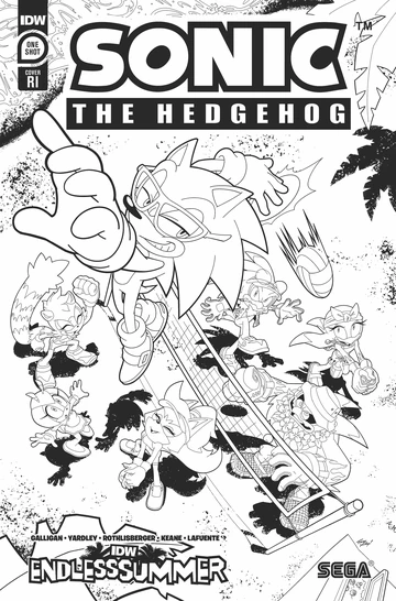 Sonic the Hedgehog: Endless Summer | Sonic Wiki Zone | Fandom