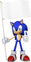 Sonic Flag