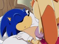 Vanilla with unconscious Sonic