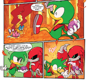 IDW Bean Metal Knuckles