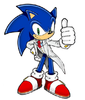 Sonic the Hedgehog (20th anniversary)