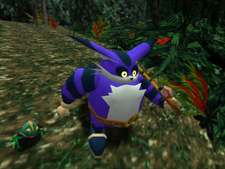 Sonic Adventure Big and Froggy