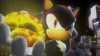 Shadow Generations
