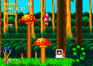 Sk-mhz-appearanceimg1.png (11 kB)