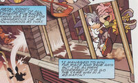 Sonic Saves Amy ATAP