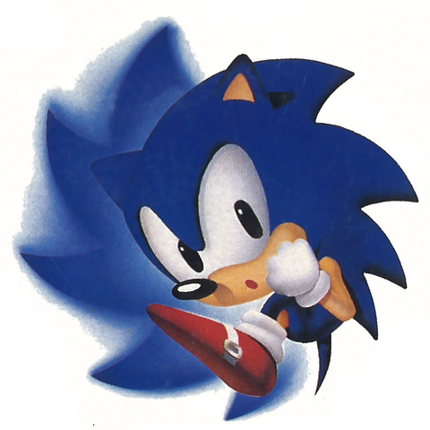 Sonic the Hedgehog/Habilidades y Poderes, Sonic Wiki