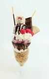 Chip'sChocolateChipSundae