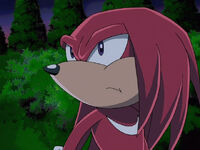 SX S2E41 Knuckles observe