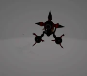 Bne under cut r.anm.hkx