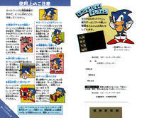 Sonic Jam version