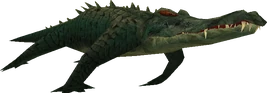 SH Alligator Model