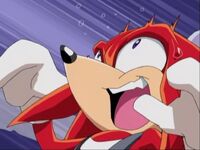 SX63 Knuckles scared