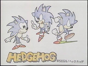 Hedgehog