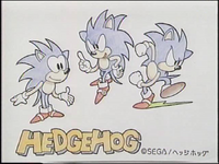 Hedgehog