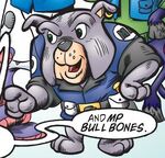 MP Bull Bones Profile