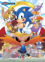 A pin-up, which is a raw cover of Sonic Legacy #2.