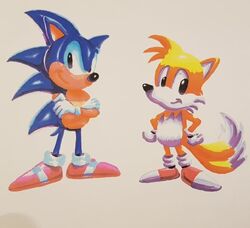 Sonic the Hedgehog/Gallery, Sonic Wiki Zone