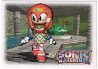 Sonic Adventure trading card #25