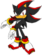 Shadow the Hedgehog