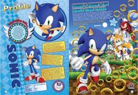 Sonic annual