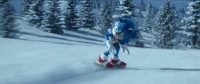 Sonic2SnowboardFightScreenshot6.png (1.22 MB)