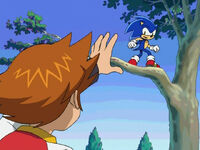 "Sonic to the Rescue"