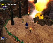 Sonic Adventure DX: Director's Cut