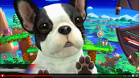 SSB4 Windy Hill Nintendog