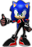 Sonic Rivals 2 (Race Outfit)