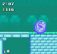 Sonic the Hedgehog Pocket Adventure