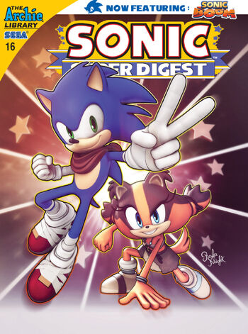SSD cover 16