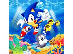 Sonic21