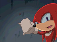 "The Adventures of Knuckles and Hawk"