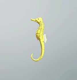 FP seahorse
