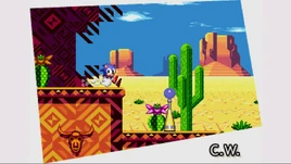 DesertDazzle