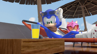 Sonic shades lifted up