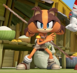 Sticks the Badger (Mirror Dimension), Sonic Wiki Zone