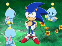 "Little Chao Lost"