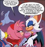 Amy and Rouge (IDW)