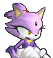 Blaze the Cat