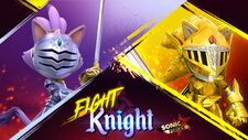 SFSBFightKnight2.jpg