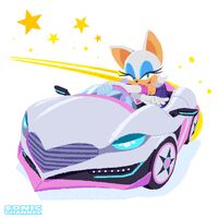 Rouge driving the Lip Spyder (Team Sonic Racing 3rd anniversary).