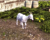 Blue Streak goat.png